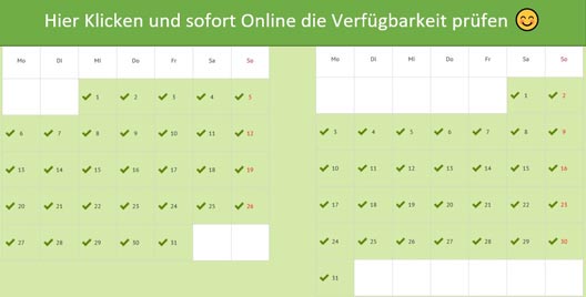 Online_Vefuegbarkeit_Adners_Gasthof_und_Hotel_im_Erzgebirge_prüfen
